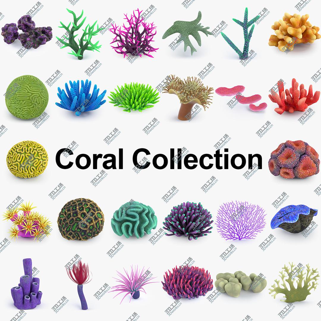 images/goods_img/20210113/Coral Reef Collection model/1.jpg